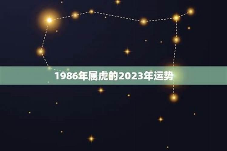 1986年属虎的2023年运势