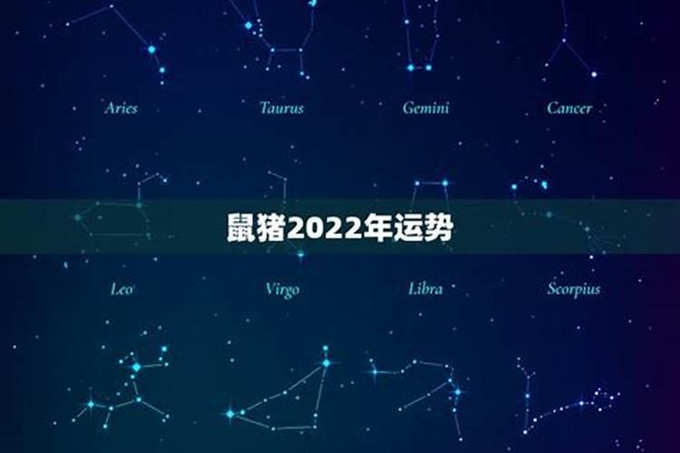 属猪和属鼠的人2023年运程怎么样