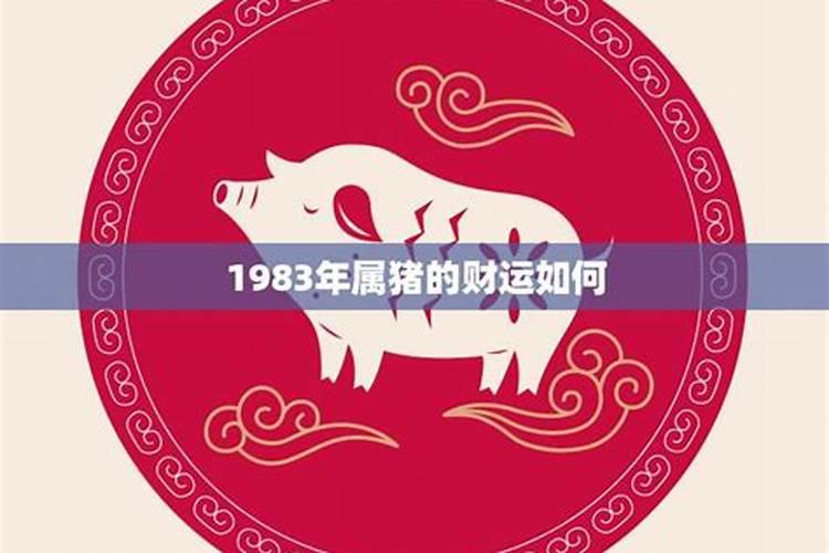 1983的猪在[year]年运势如何