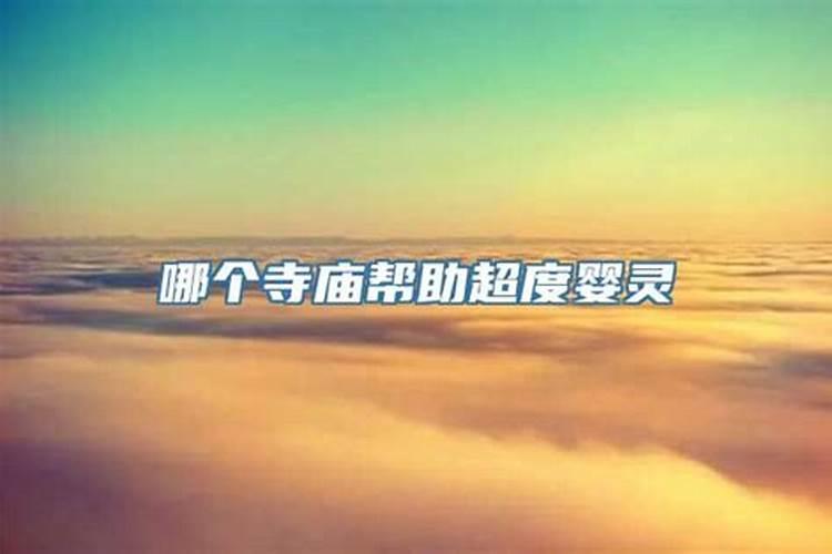 鸡年运势2020年运势