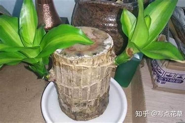 梦见大水冲祖坟是什么意思