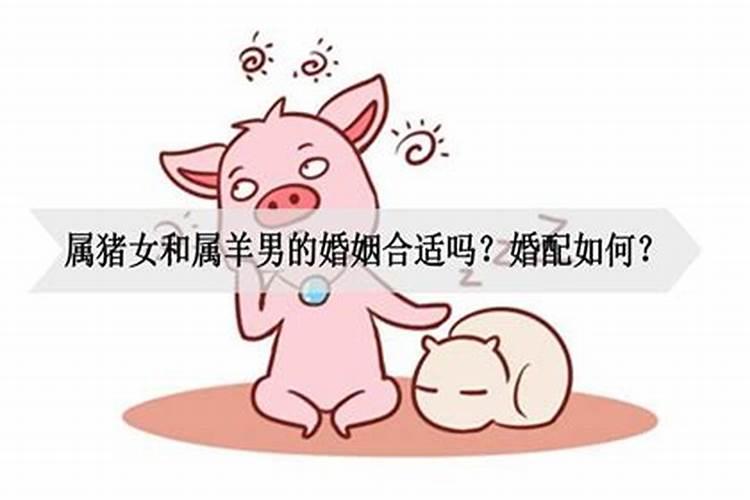 猪女和羊男属相合不合