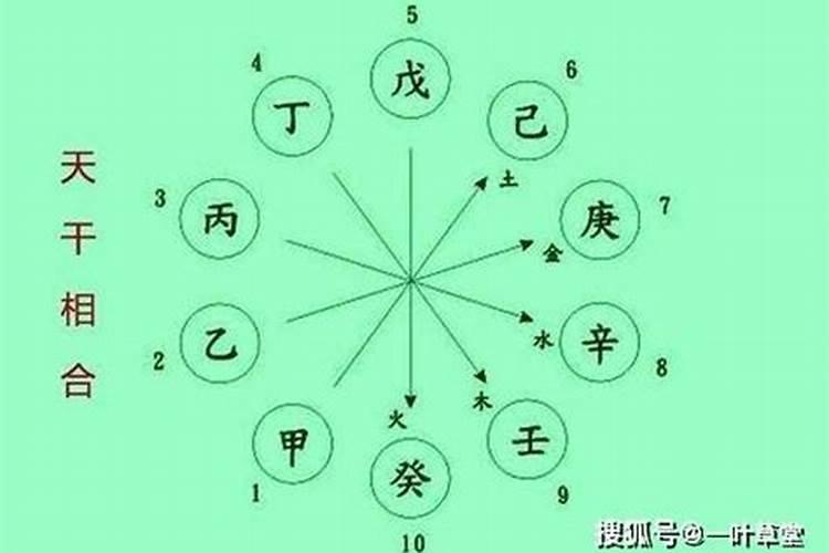 天干戊癸合化后怎么看八字