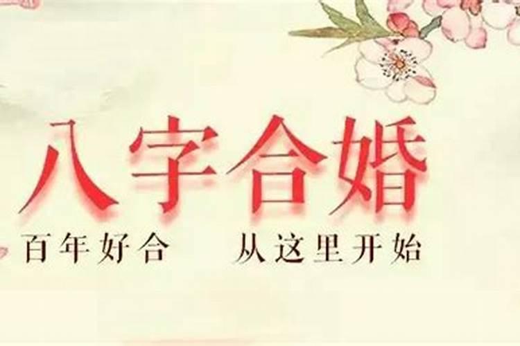 八字合婚哪个网站