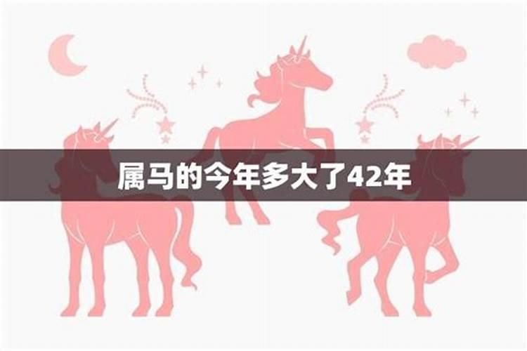 今年属马12个月运程如何