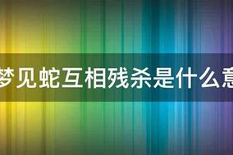 1965的属相是什么生肖呢男