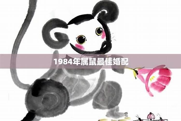 84年的鼠婚配什么属相比较好呢女生