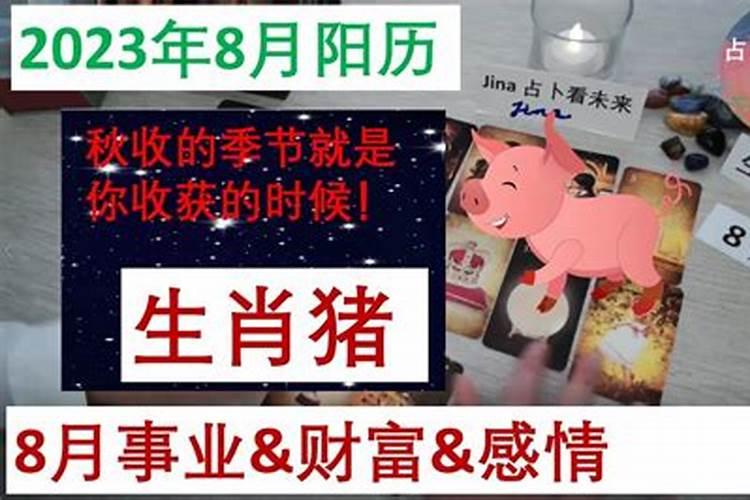 猪的8月运势