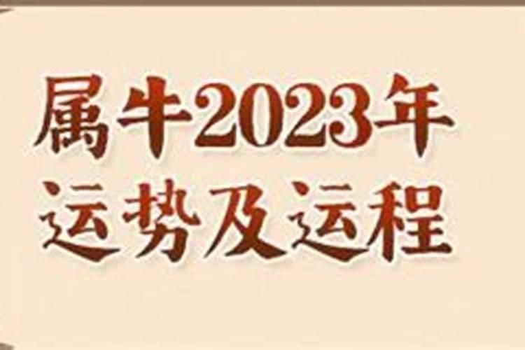 属牛2023的运势如何呢