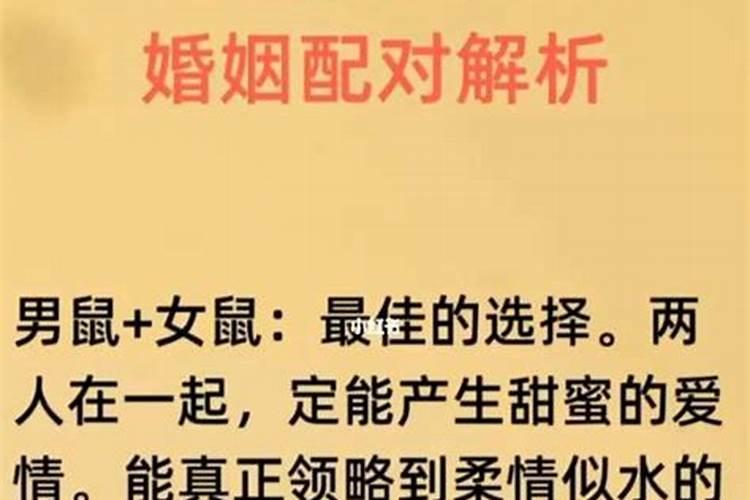 梦见妻子伤心哭了是什么预兆周公解梦