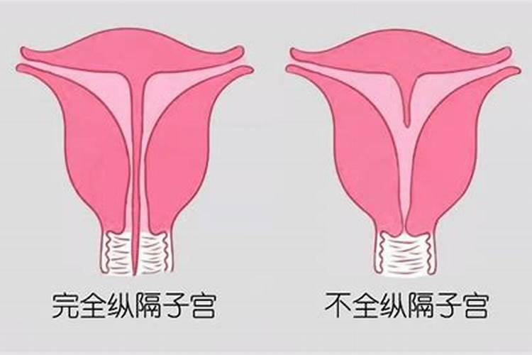 梦到自己生了个女儿喂奶好不好呀