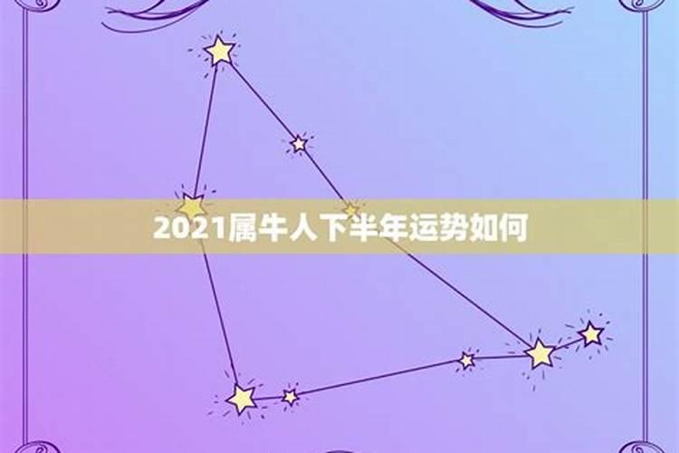 2021属牛人男的全年运势如何