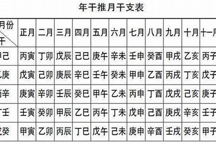 八字中的月支是什么意思