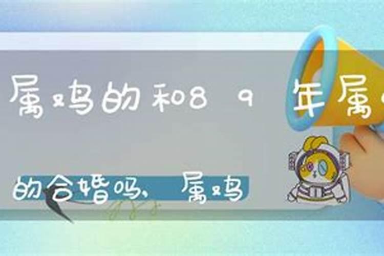 1995年猪年运势2024年运程