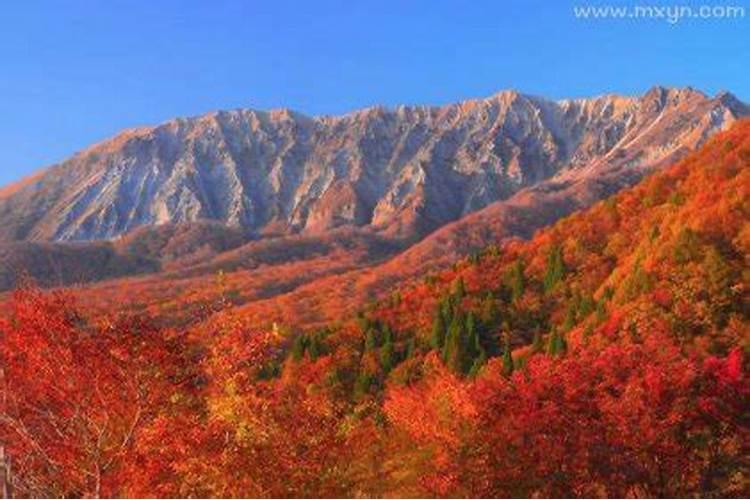 梦见大山是什么兆头