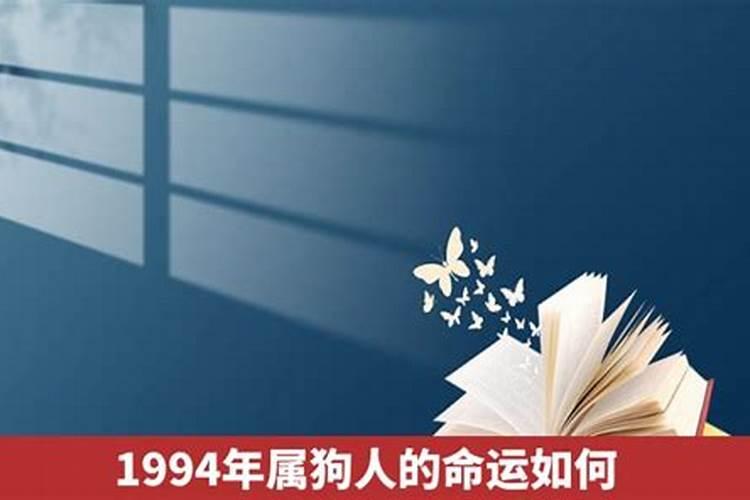 94属狗一生事业运势如何样女性婚姻