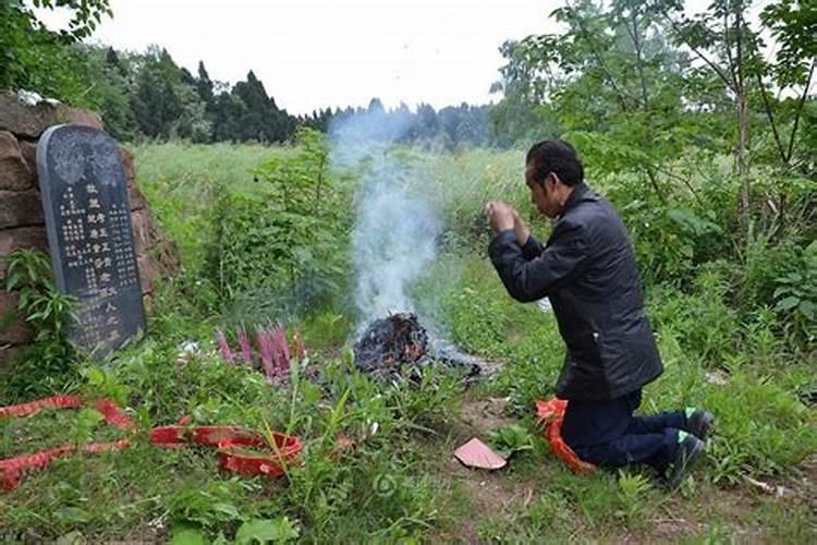 清明节上清明节上坟有什么讲究