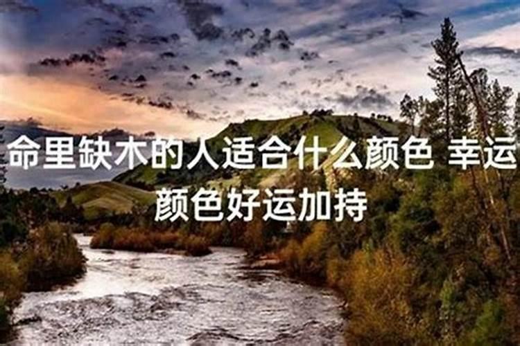 梦见被蛇咬脚底是什么意思周公解梦