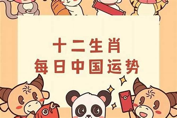 属蛇的8月运势怎么样