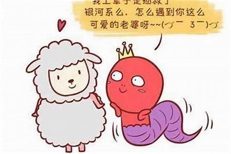 男牛女羊婚配合不合