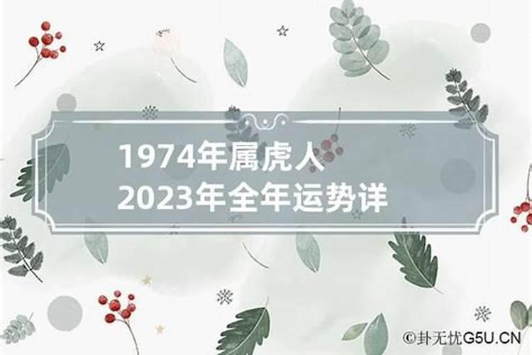 1974年2023年的运势如何