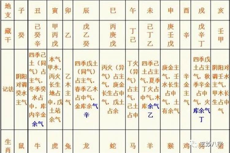 八字排盘丙戊辛七杀什么意思