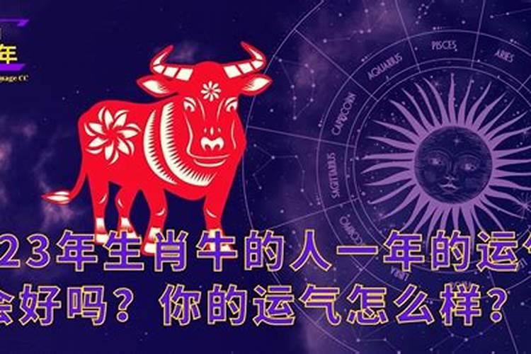 今年牛的运气怎么样2021