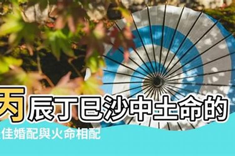 2021龙如何化太岁