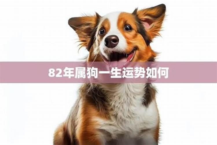 80年8月的猴2020年运势