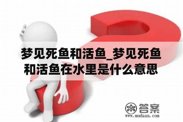 梦见自己肚子有很多死鱼给拿了出来