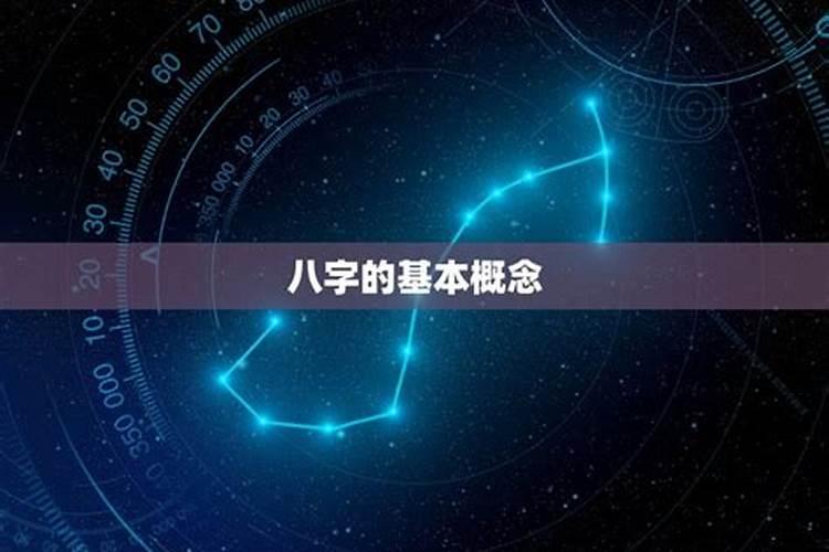 2019年属猪的人全年运势怎么样