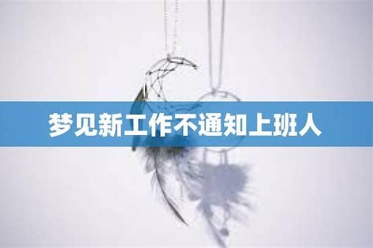 梦到自己找到新工作