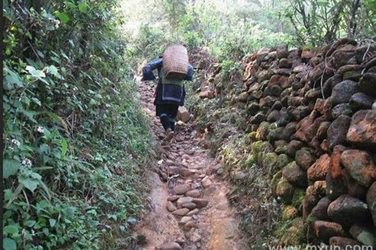 梦见路上太崎岖回不了家