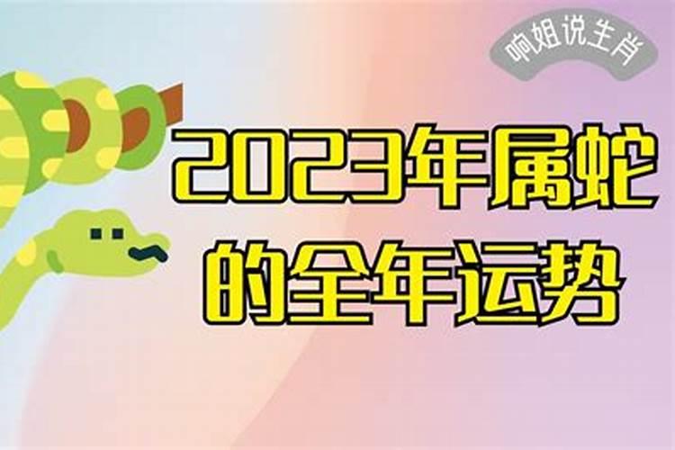 2023年属蛇人全年运势