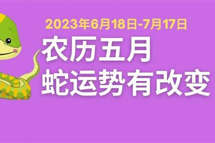 属蛇人2021年农历五月运势