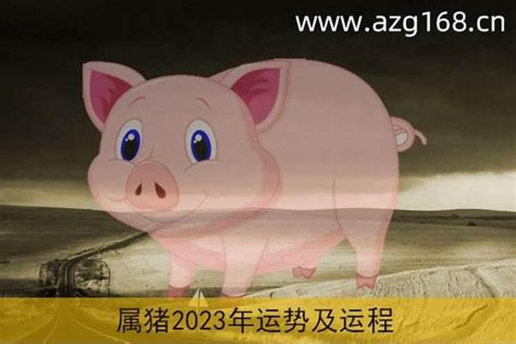 零八年属猪2023年运势