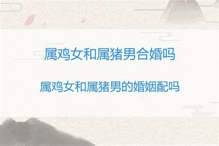 婚姻无效纠纷是什么意思