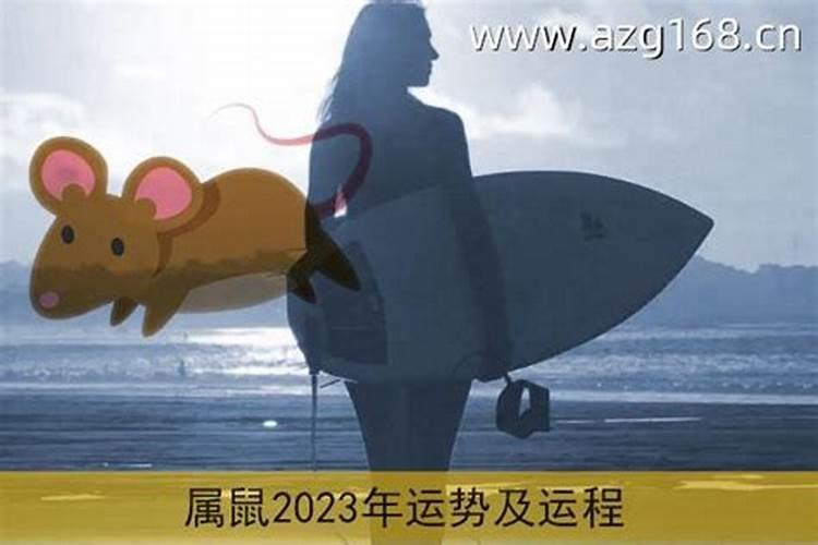 生肖运势2023年运程鼠