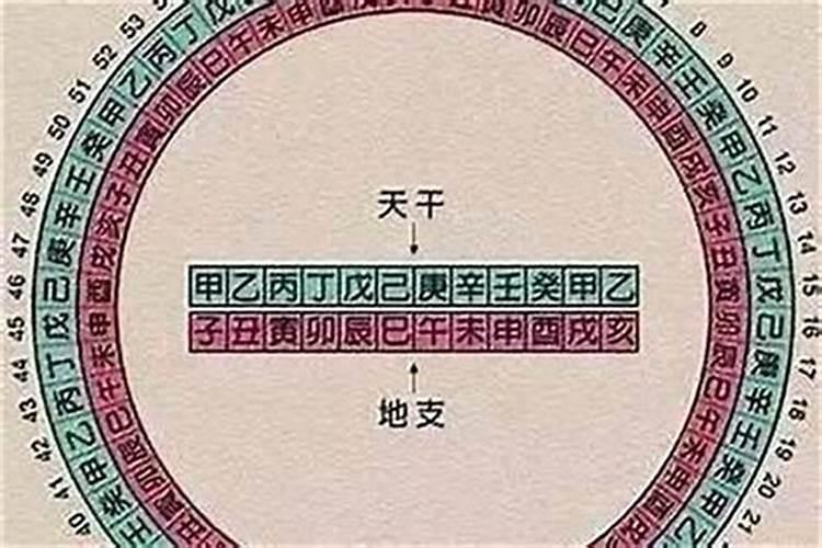 八字中主是什么意思