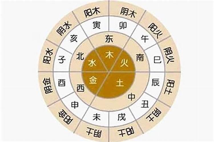 怎么从八字中看五行属什么