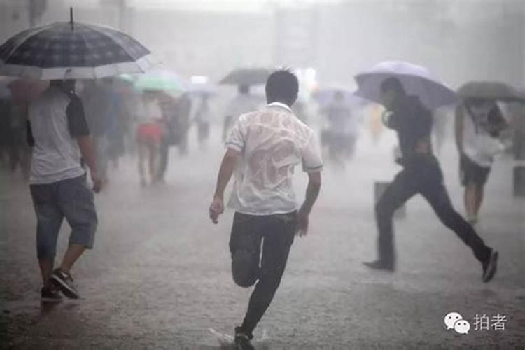 梦到在大雨中淋雨奔跑