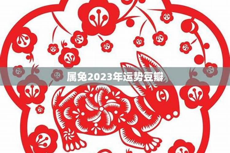 兔子2023年运势如何看呢