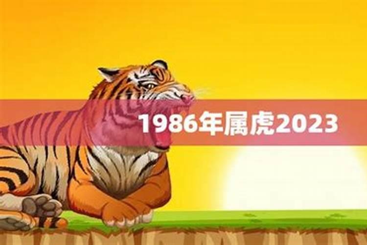 1986虎年出生的人的命运怎么样