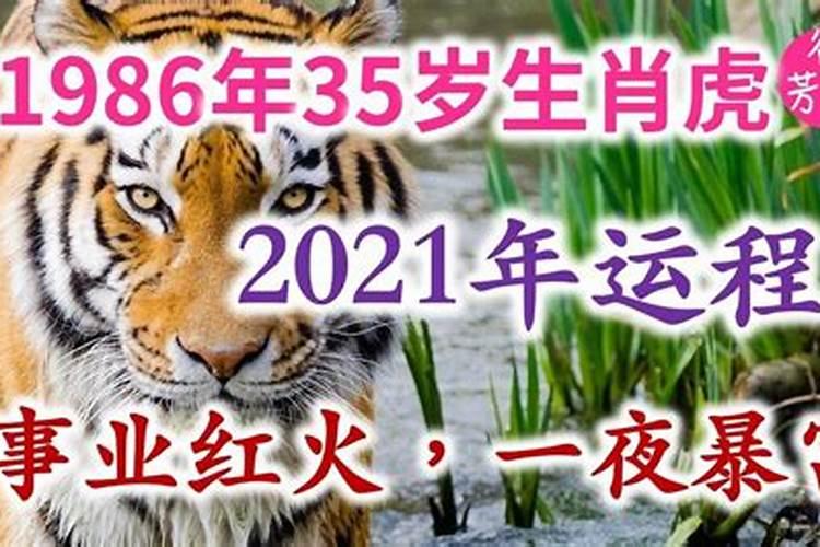 1986年出生的虎2021年运势如何