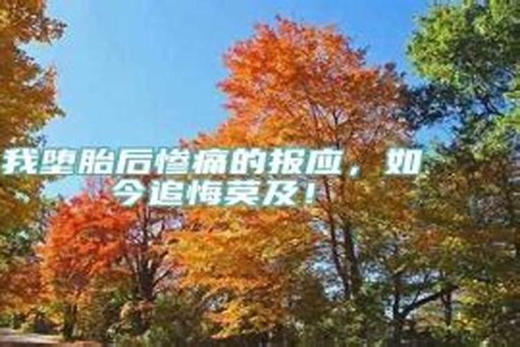 梦到蟒蛇追着自己跑,然后被咬预示着什么