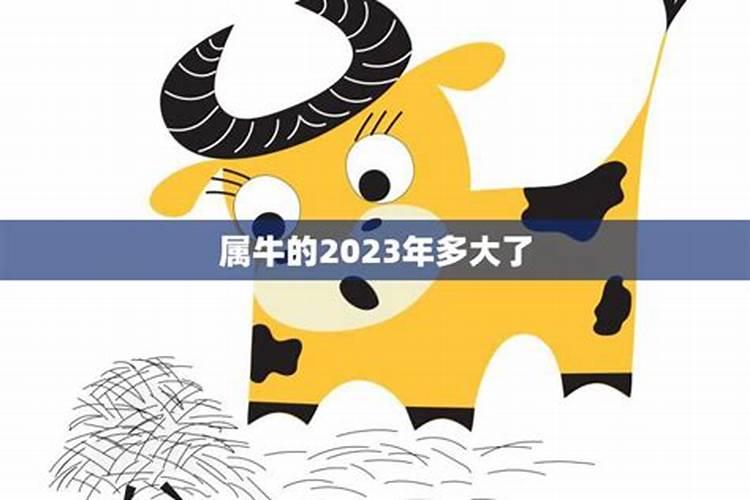 属牛的人2023年