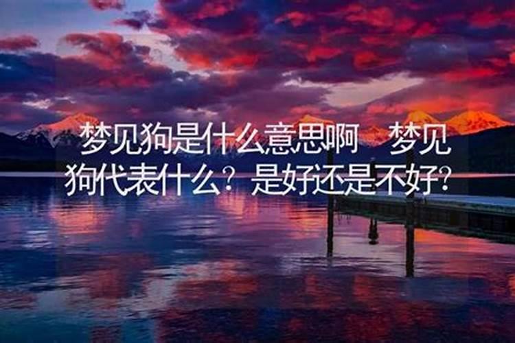 梦见狗撒娇是什么意思