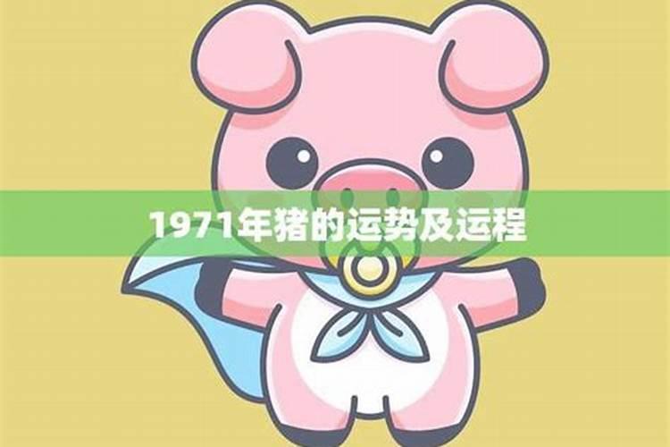 1971年生肖猪2022年运势大全