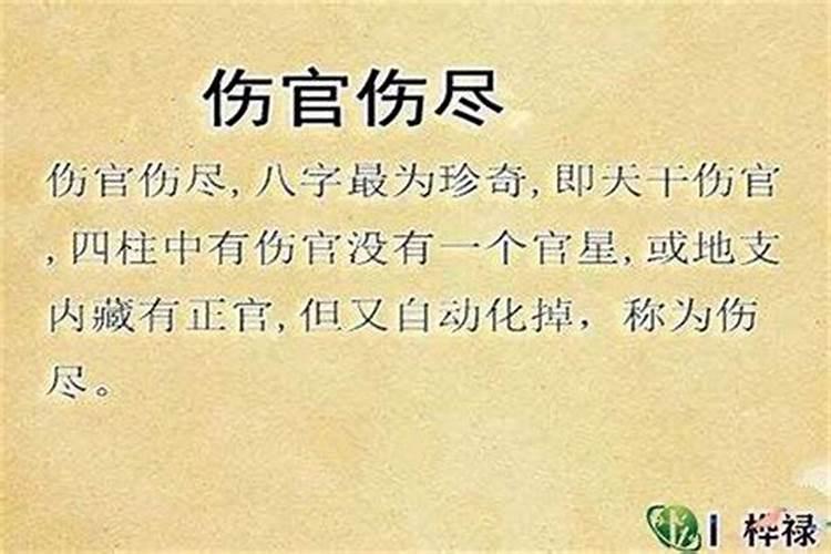 怀孕的时候梦见白蛇是什么意思