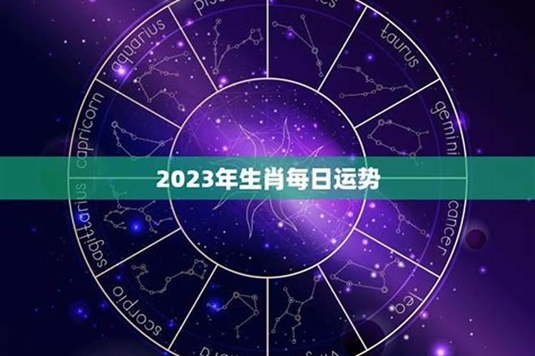 2023年生肖运势如何